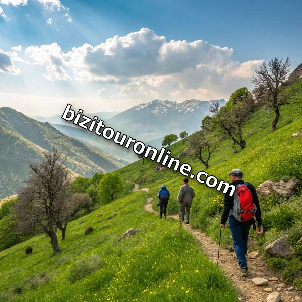 خدمات تور یک روزه ارزان طبیعت گردی در تهران صادقیه