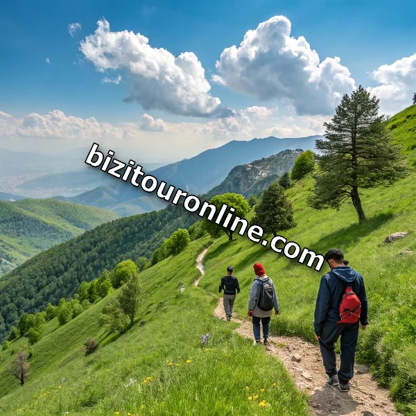 خدمات تور یک روزه ارزان طبیعت گردی در تهران پونک