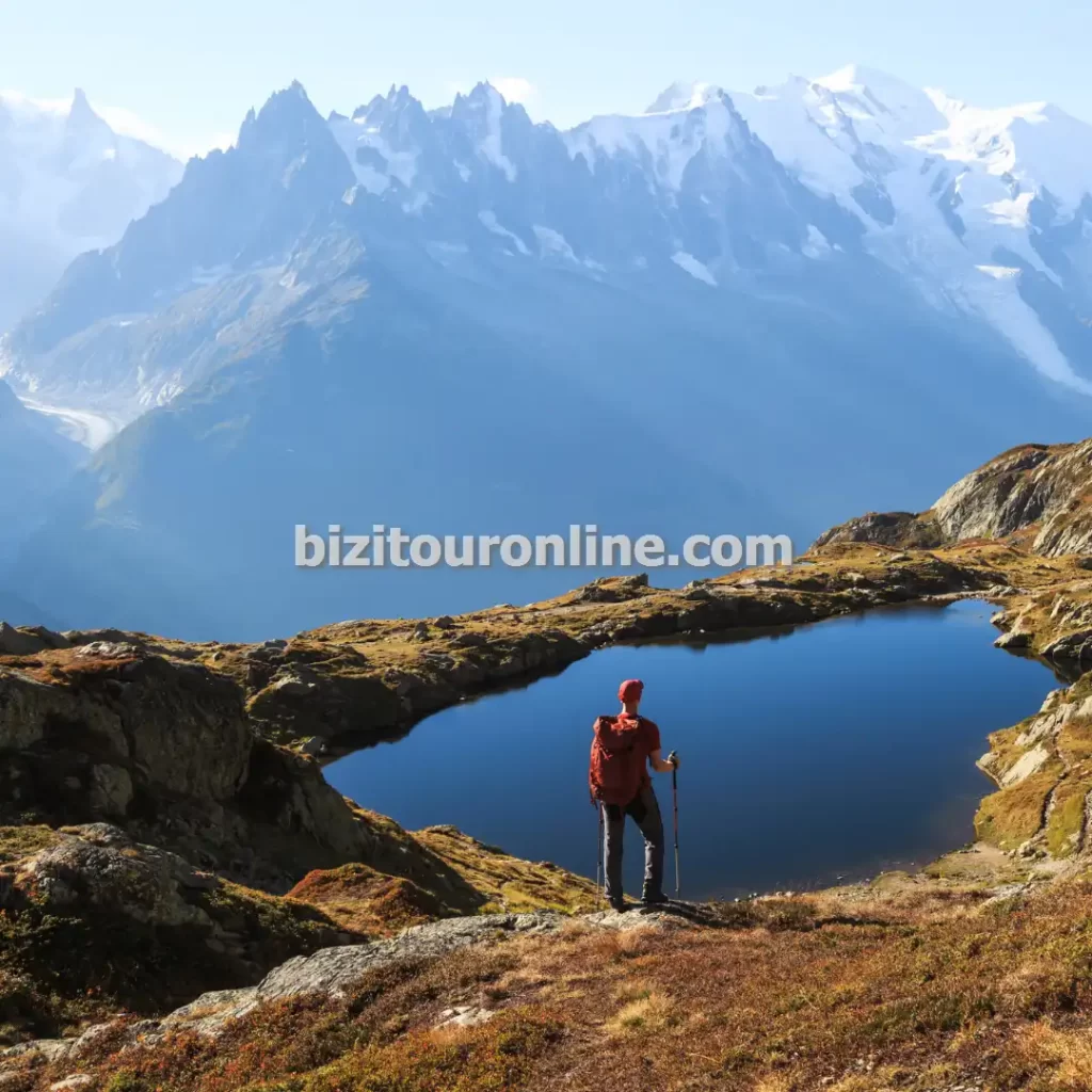 رزرو تور یک روزه ویژه طبیعت گردی در مناطق جنگلی شمال کشور